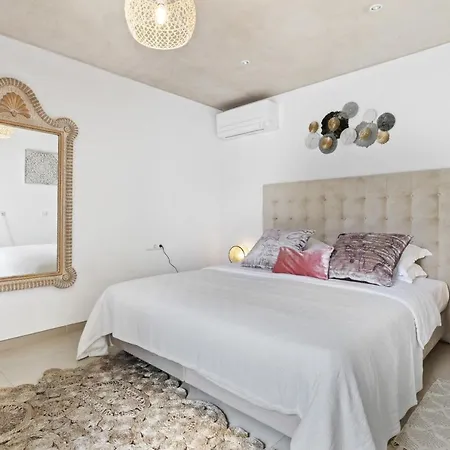 Ivy - San Carlos سانتا أيُلاريا ذيس ريو