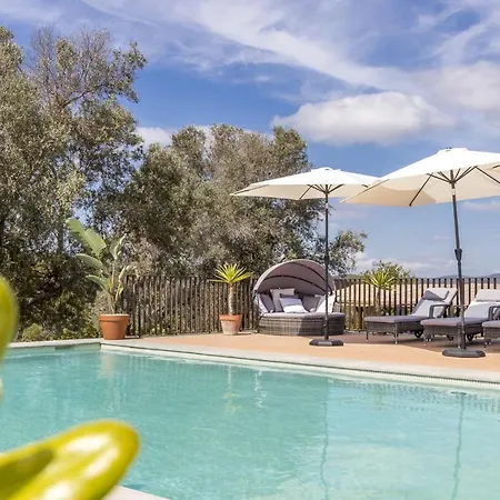Ivy - San Carlos Villa Santa Eularia des Riu