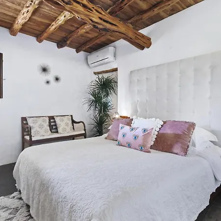 Ivy - San Carlos Villa
